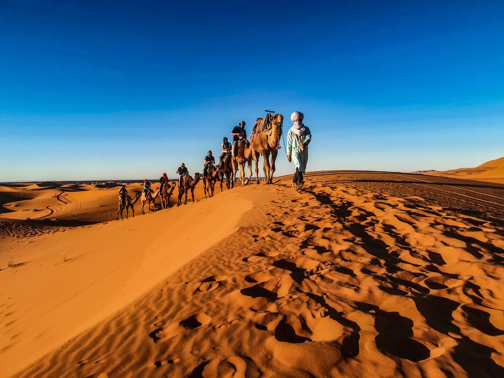 A group of people riding camels in the desert.