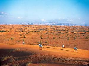 Dubai Desert Conservation Reserve