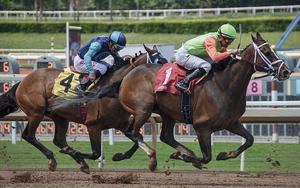 Dubai World Cup