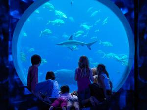 Lost Chambers Atlantis the Palm