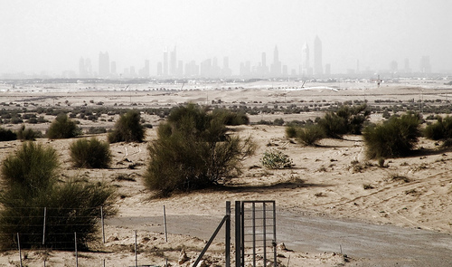 Land Transactions in Dubai