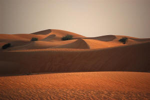 Golen Sand Dunes in Dubai
