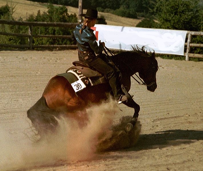 Horse Riding
