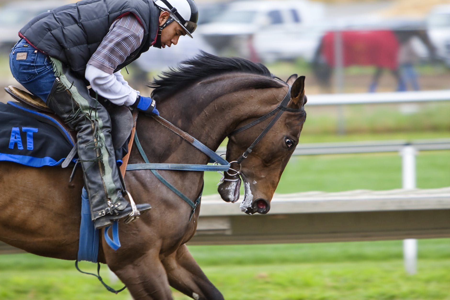 Horse racing