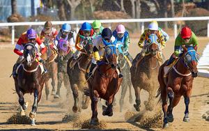 Thumbnail for Dubai International Racing Carnival 2011