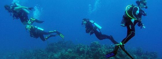 Scuba-Diving Scuba-Diving