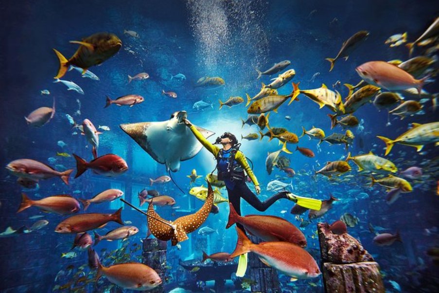 scuba diving