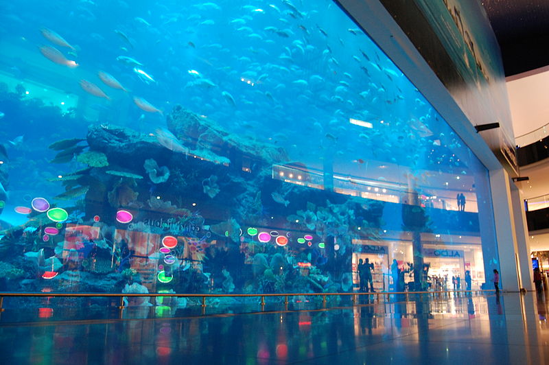 Dubai Mall Aquarium (Creative Commons / Frank Seiplax) Dubai Mall Aquarium (Creative Commons / Frank Seiplax)