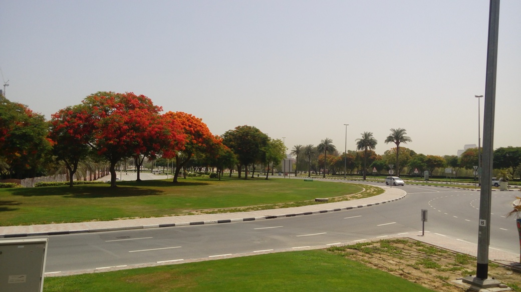 greenery in Dubai