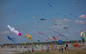 Thumbnail for International Kite Festival - 2012