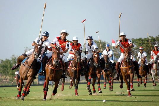 Polo Polo
