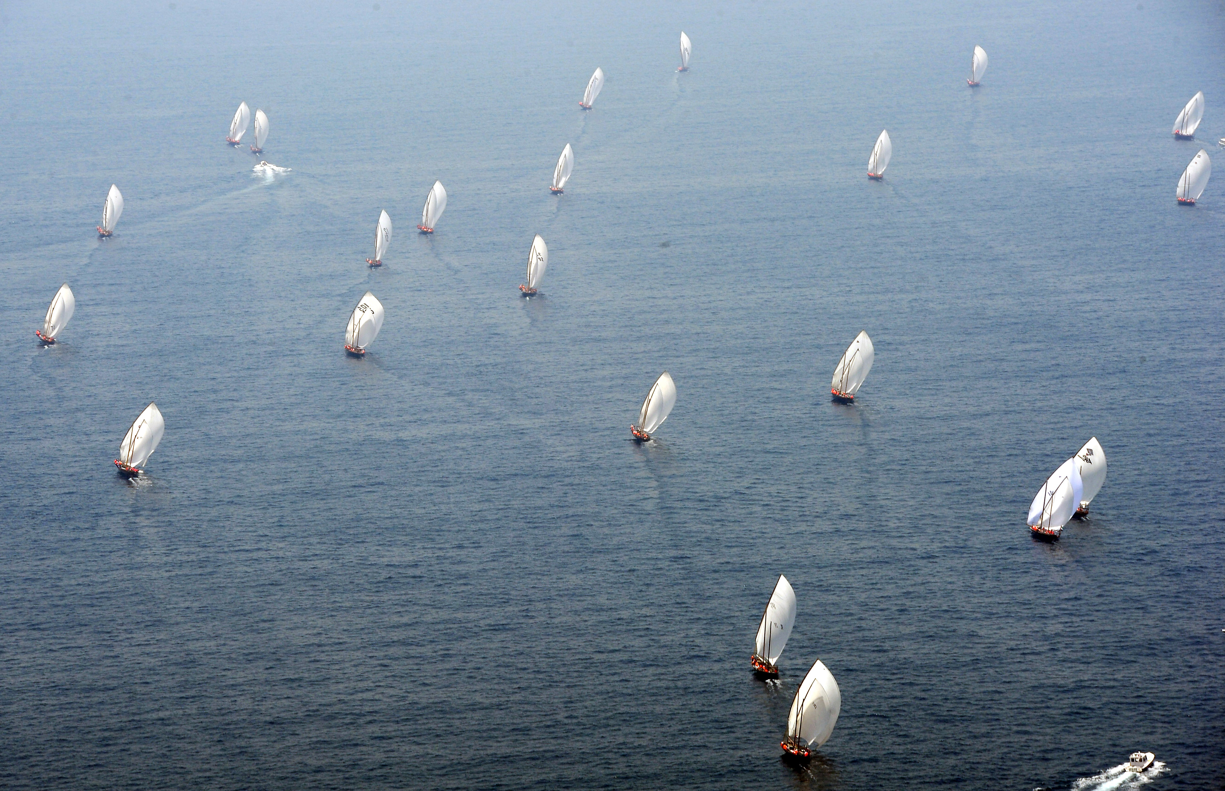Al Gaffal race