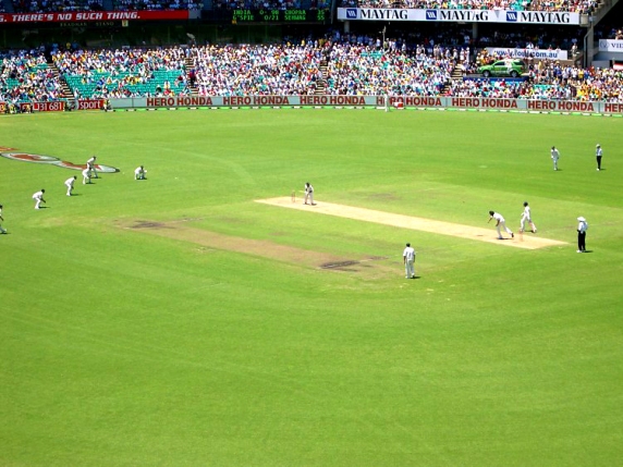 Cricket Cricket