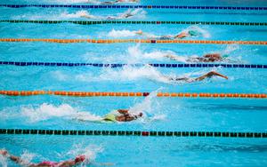 Thumbnail for 4th FINA World Junior Swimming Championships