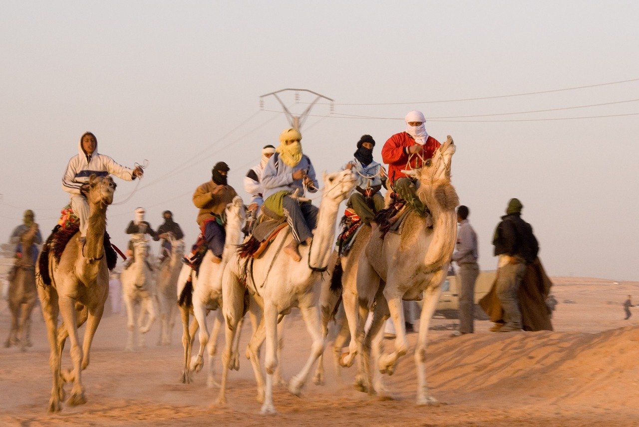 camel racing