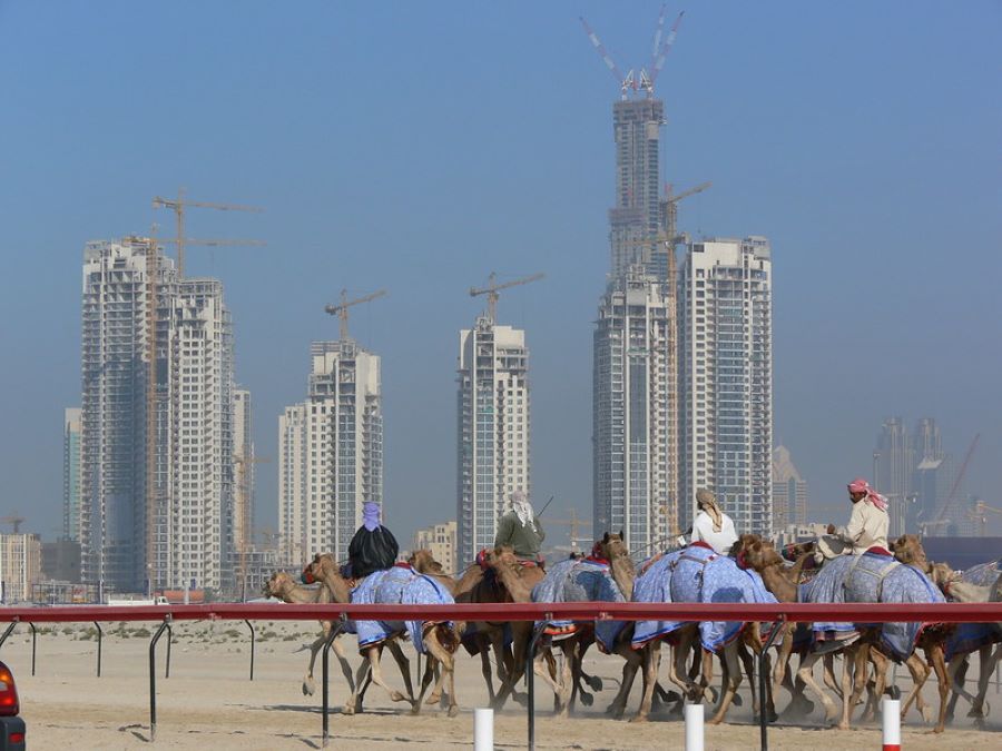 camel race in Dubai