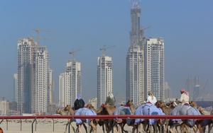 Thumbnail for Camel Racing in Dubai - Exploring Cultural Roots