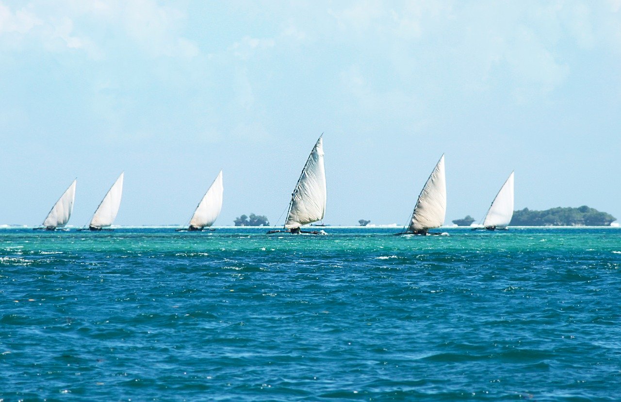 Dhow race