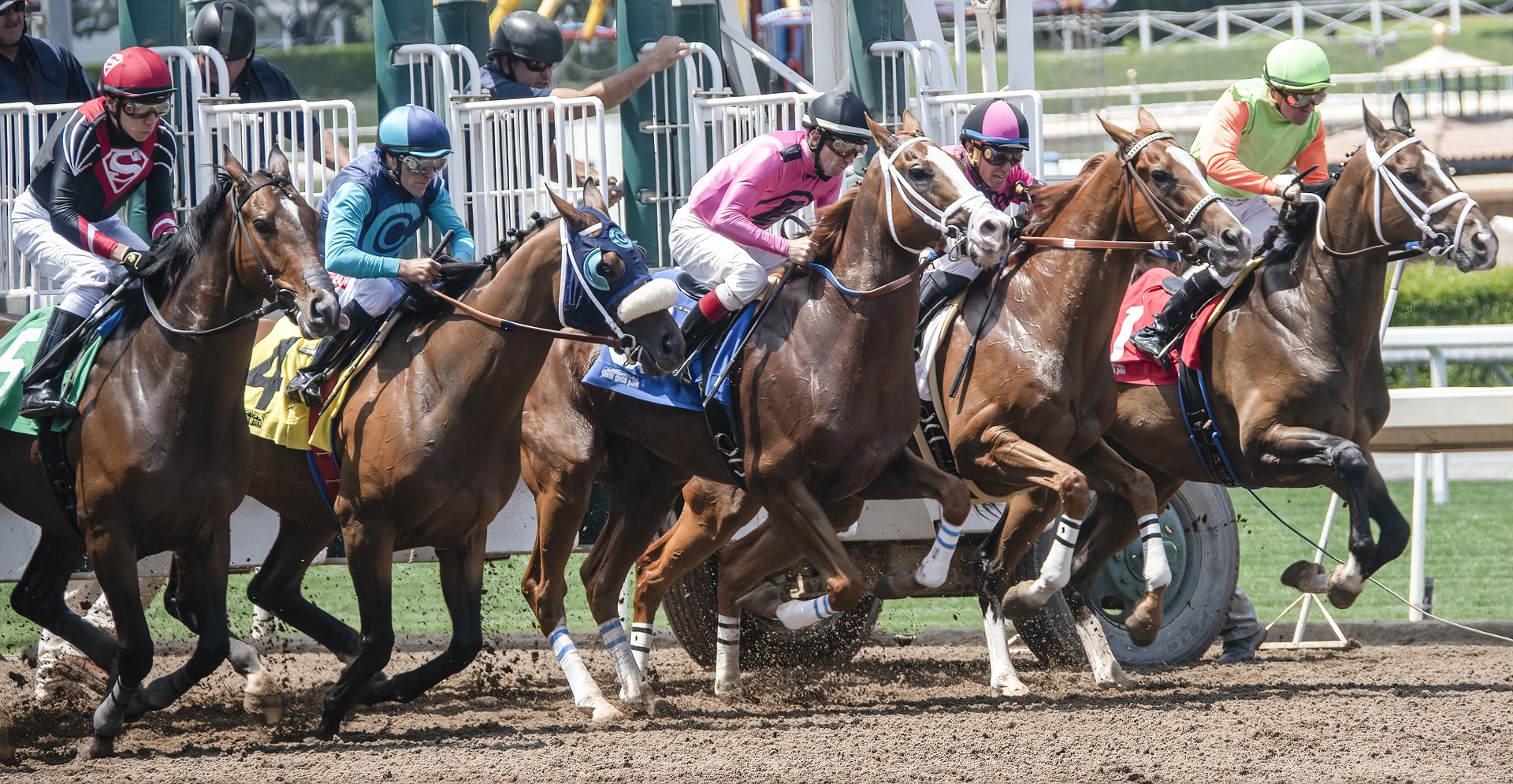 dubai, horse race, sport