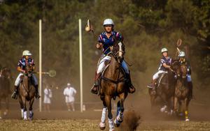 Thumbnail for Dubai Polo Gold Cup Series 2015