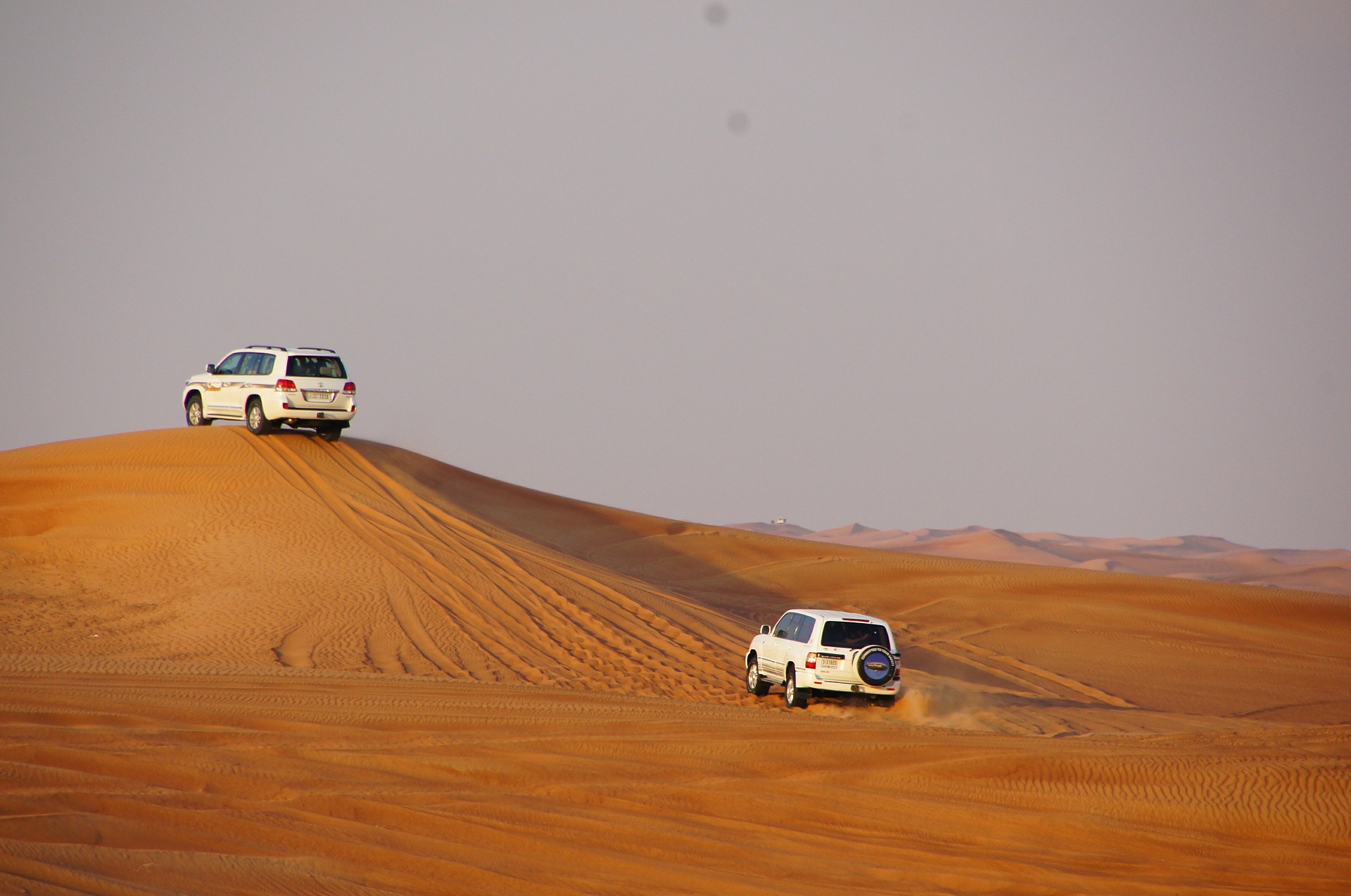 dubai, desert safari