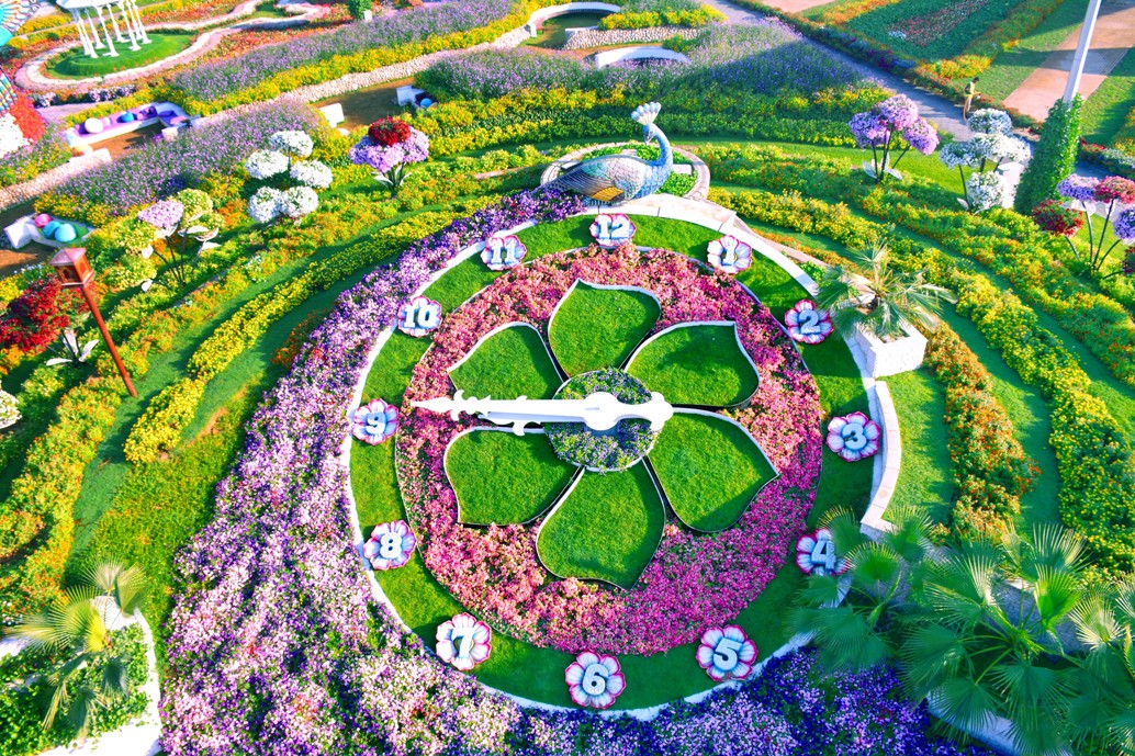 Dubai Miracle Garden