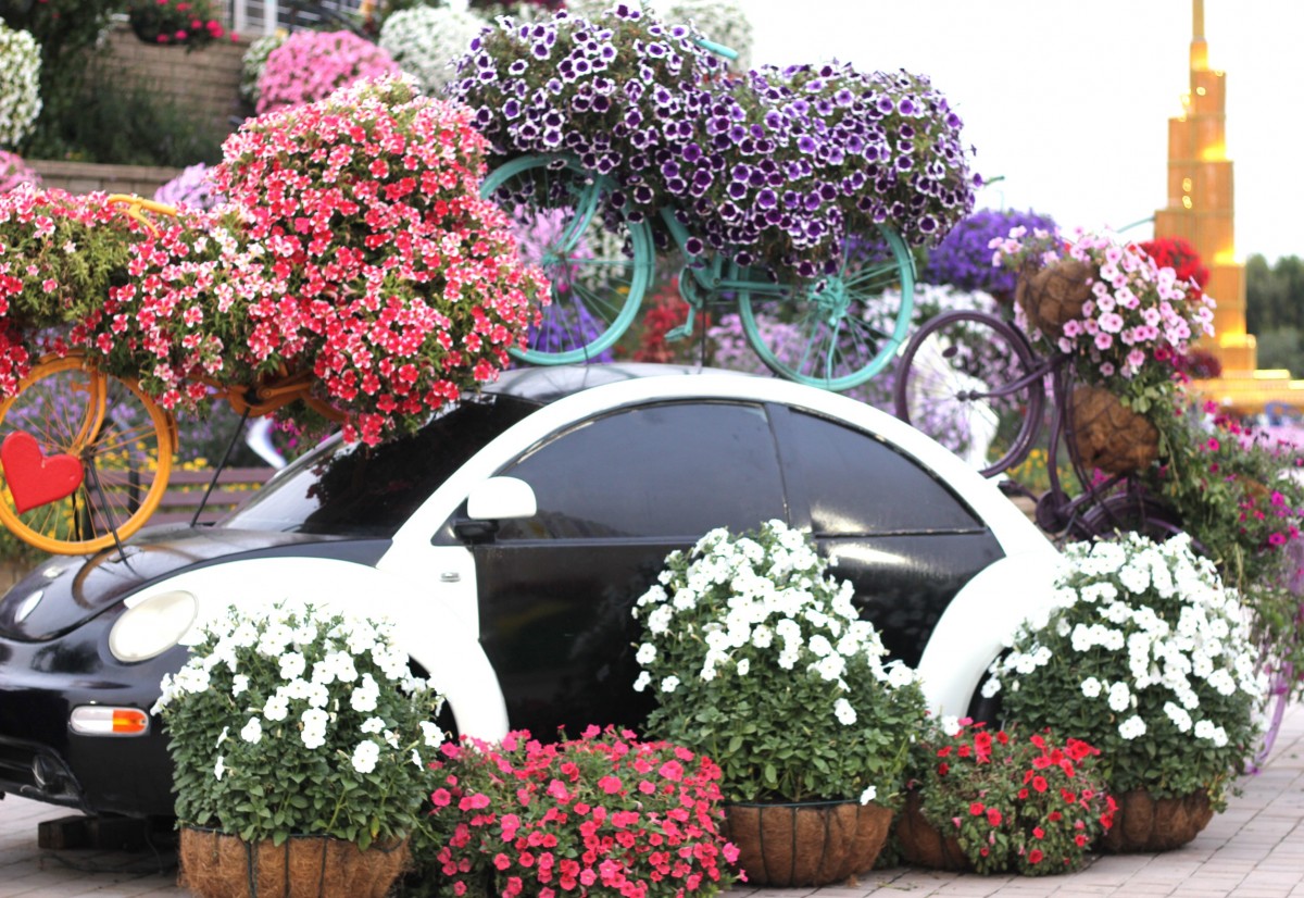 Dubai miracle garden