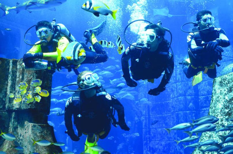 Scuba Dive