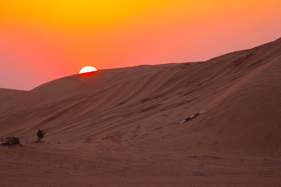 Desert Safari