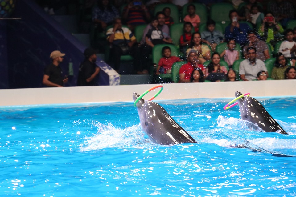 Dubai Dolphinarium