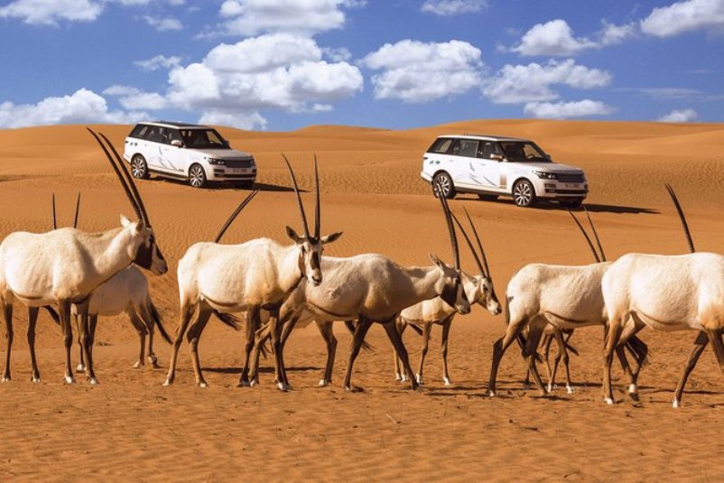 Al-Maha UAE