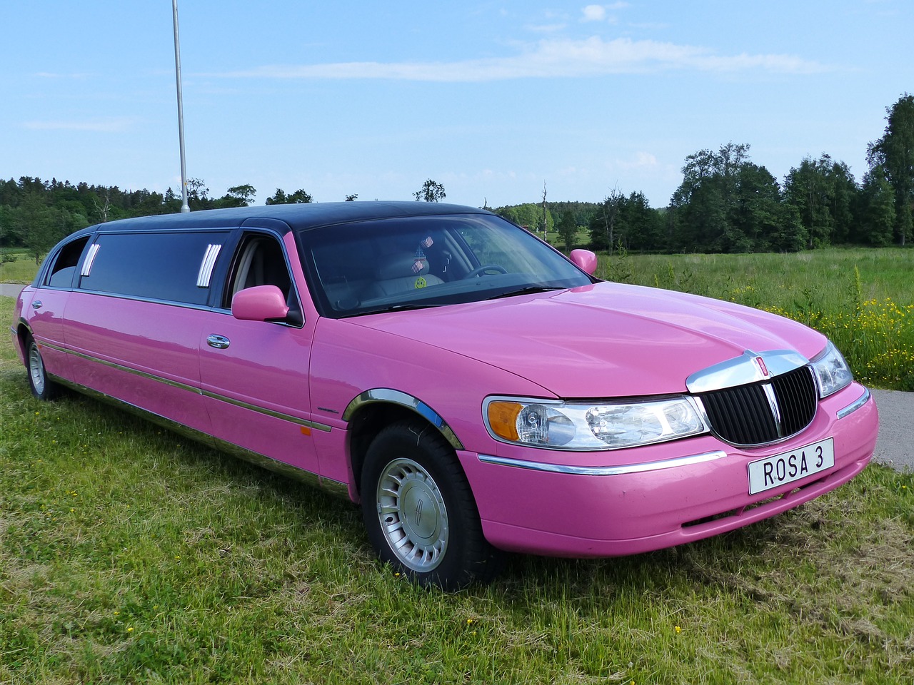 pink limousine
