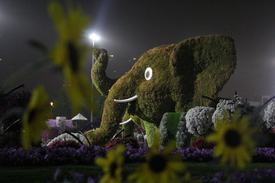 Miracle Garden, Dubai