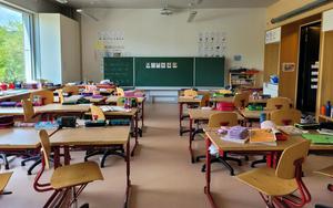 Thumbnail for Complete Guide to School Districts in Dubai: Where to Live Near the Best Schools